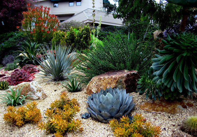 Garden Archives Landscape Design, Phoenix Landscaping Ideas
